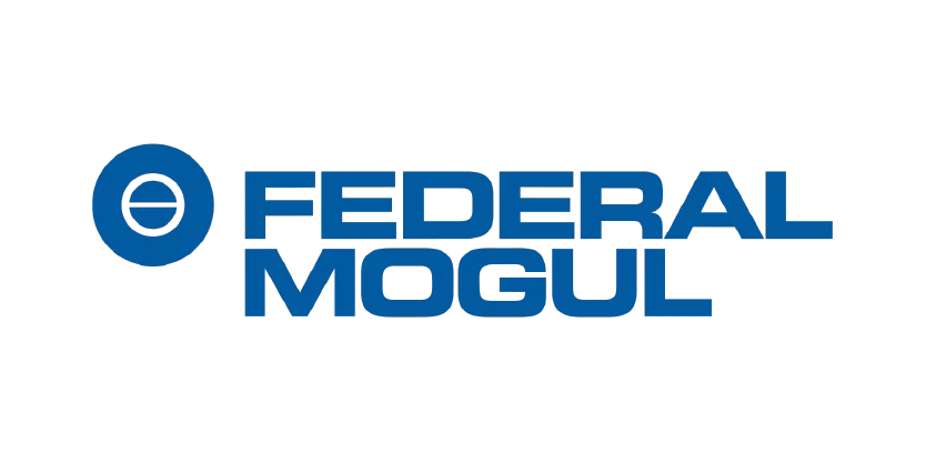 Federal Mogul